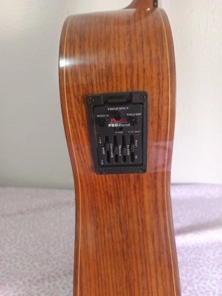 Guitarra Alhambra 5P CW E2 (Electrificada Fishman)