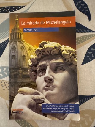 La mirada de Michelangelo