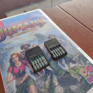 Lote 2 juegos Nintendo Switch: Zelda y Jumanji