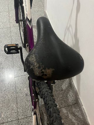 Bicicleta niña