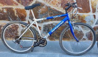 Bicicleta Top Trotter Azul
