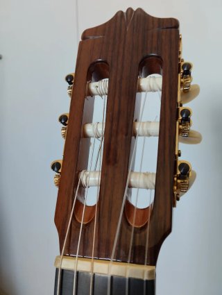 Alhambra 5P Guitarra Clásica con Estuche