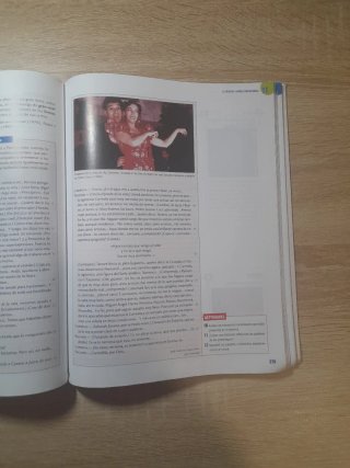 Lengua castellana y literatura 2 Bachillerato