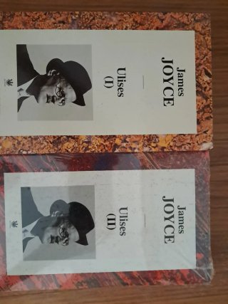 Ulises Libro
