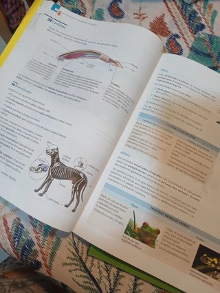 Biología y geología,  1° de bachillerato.