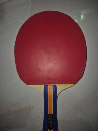 Raqueta de tenis de mesa de competición