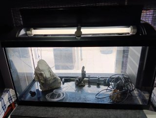 Acuario de cristal con accesorios