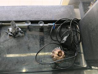 Acuario de cristal con accesorios