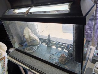 Acuario de cristal con accesorios