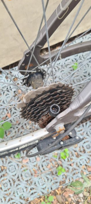 Bicicleta todo terreno