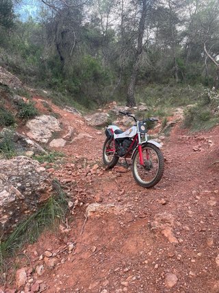 Montesa Cota 349 Trial