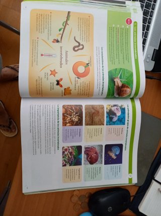 Biología y Geología. 1 ESO. Santillana