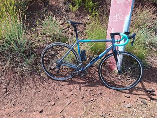 Bicicleta Carretera Wilier Triestina