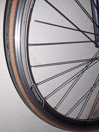 Bicicleta Carretera Wilier Triestina