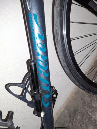 Bicicleta Carretera Wilier Triestina