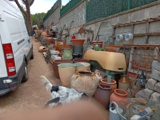 Lotes para coleccionistas y anticuarios