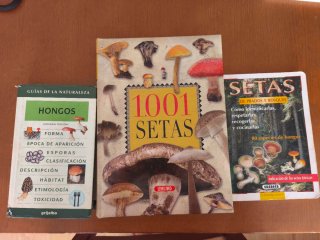 Libros sobre setas