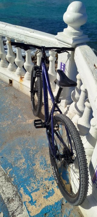 SCOTT CONTESSA ACTIVE 40