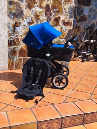 Bugaboo Buffalo