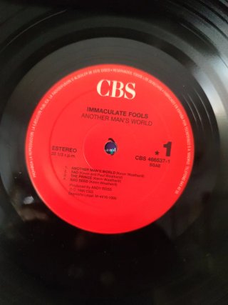 Immaculate Fools - Another Mans World LP