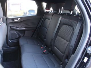 FORD Kuga STLine 1.5T EcoBoost 110kW 150CV