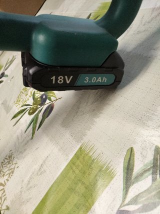 Tagliasiepi con 2 batterie