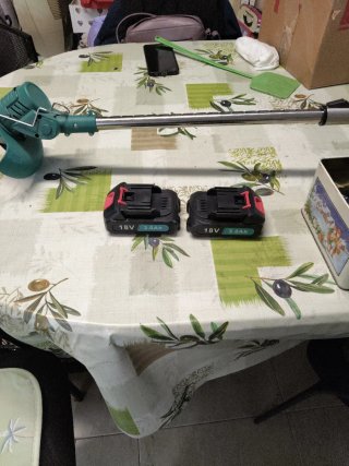 Tagliasiepi con 2 batterie