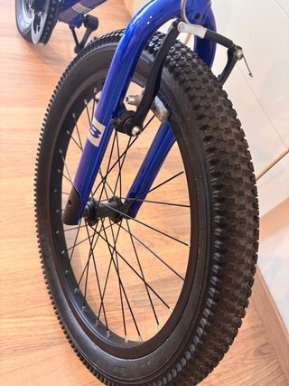 Bicicleta infantile B-PRO 20 blu