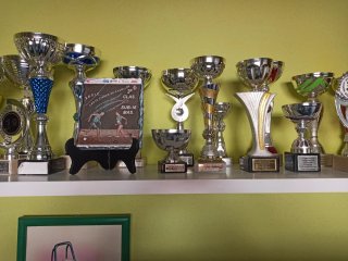 Lote de trofeos deportivos