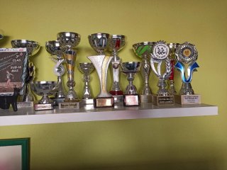 Lote de trofeos deportivos