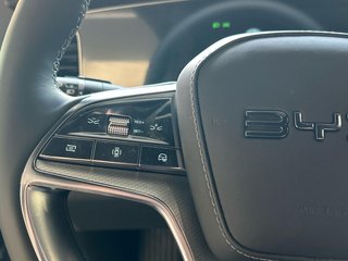 BYD Sealion 7 2025