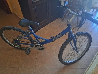 Bicicleta de montaña azul recogida en Huelva