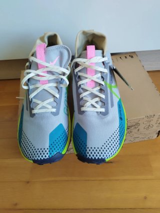 Nike React Pegasus Trail GORE-TEX