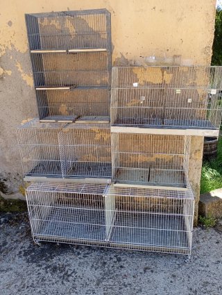 Gabbie per uccelli e altri animali
