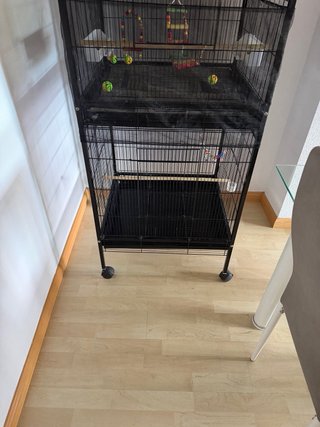 Jaula para pájaros negra .