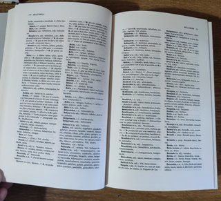 Diccionario Akal de usos Castellano Gallego (1985)