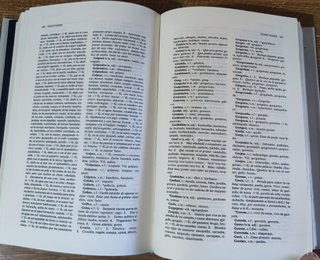 Diccionario Akal de usos Castellano Gallego (1985)