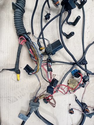 Cableado Motor BMW M57 306D1