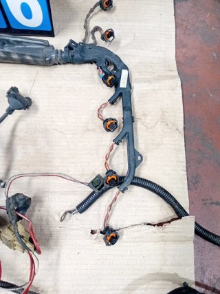 Cableado Motor BMW M57 306D1