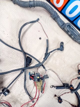 Cableado Motor BMW M57 306D1