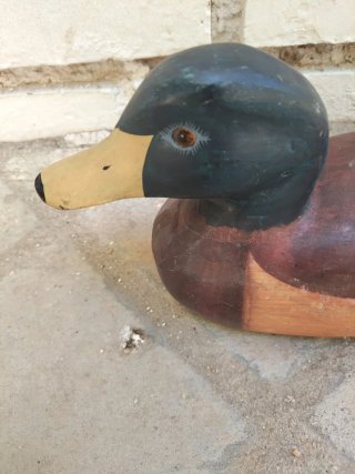 Pato ánade reclamo antiguo  caza madera maciza