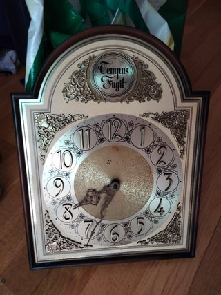 Reloj de Pared Tempus Fugit