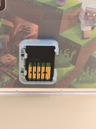 Minecraft Nintendo Switch #2