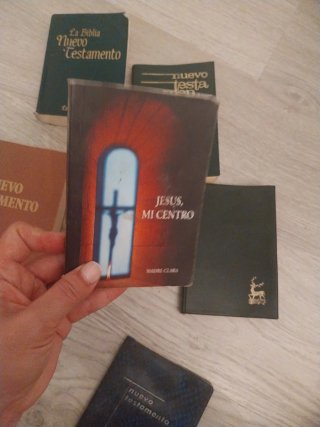 Nuevo testamento lote