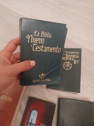 Nuevo testamento lote