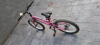 Bicicleta Monty rosa