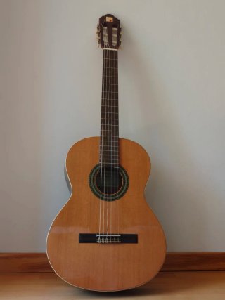 Guitarra Alhambra 2C