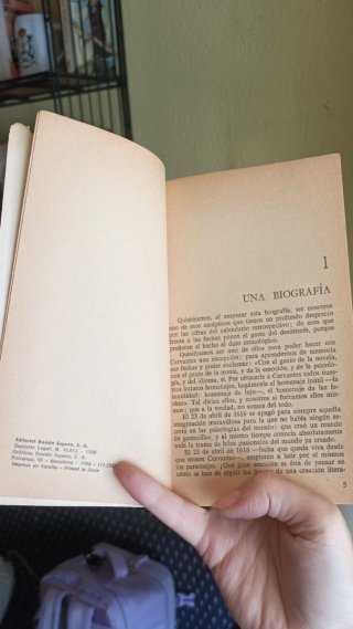 "Cervantes" - D. del Olmo