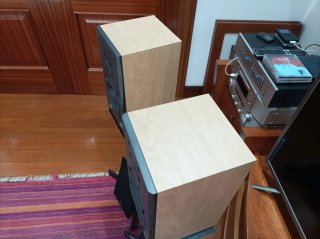 Altavoces DALI Concept 1