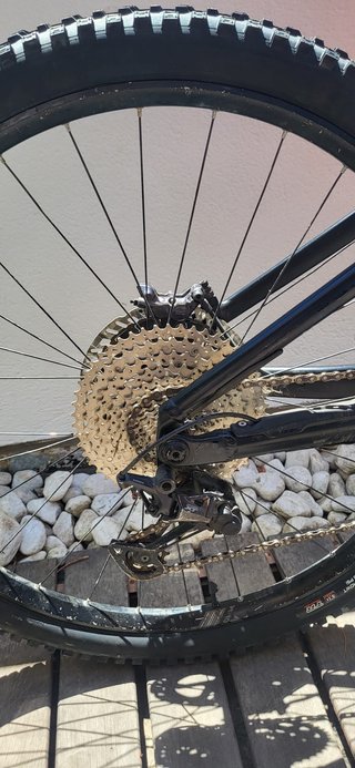 Orbea Wild M20 Talla XL 2022